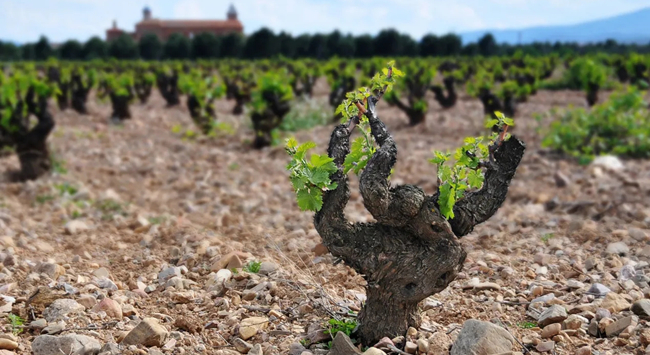 src=http___www src=http___www