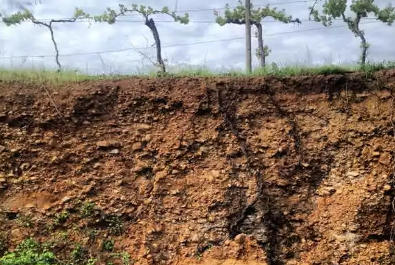 AOC葡萄酒產區(qū)